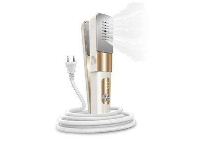 Delvemore Hand-Held Iron
